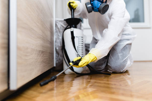 Best Pest Prevention Services  in Avalon, NJ