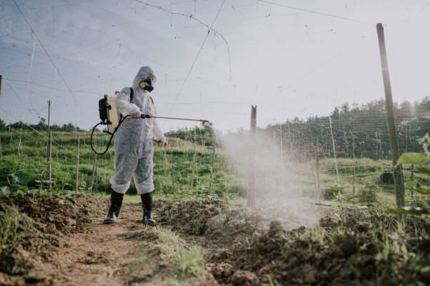 Best Mosquito Control Services  in Avalon, NJ