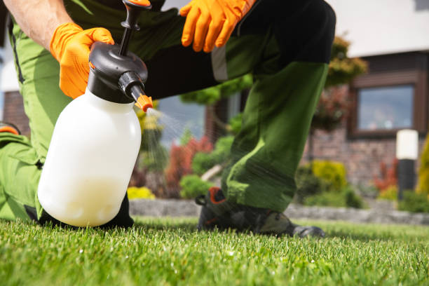 Trusted Avalon, NJ Pest Control Experts