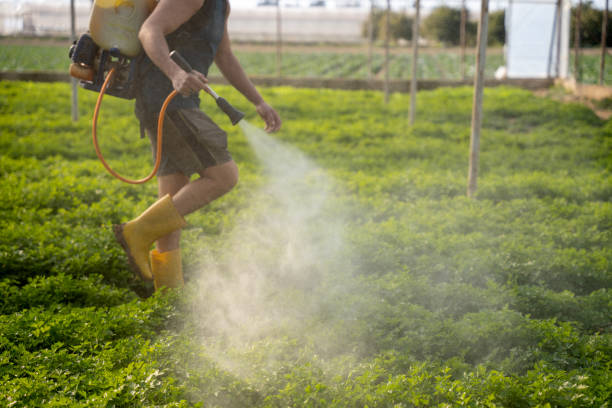 Best Best Pest Control Companies  in Avalon, NJ