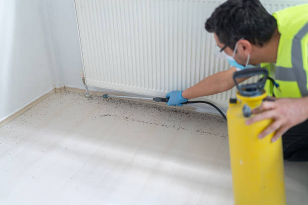 Best Pest Inspection Near Me  in Avalon, NJ